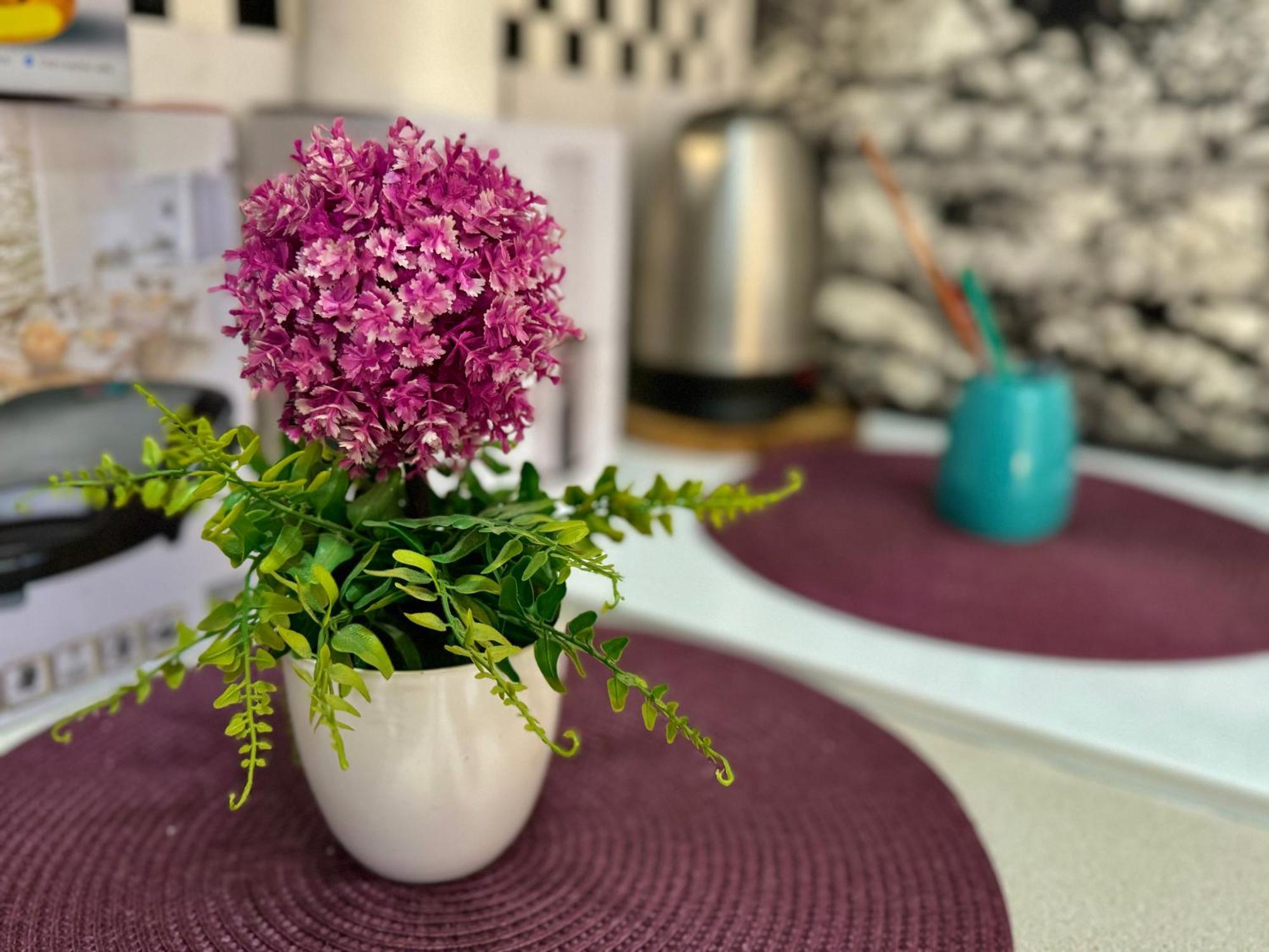 Aparthotel Maxim Kotor Zewnętrze zdjęcie